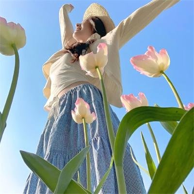 森林的精灵